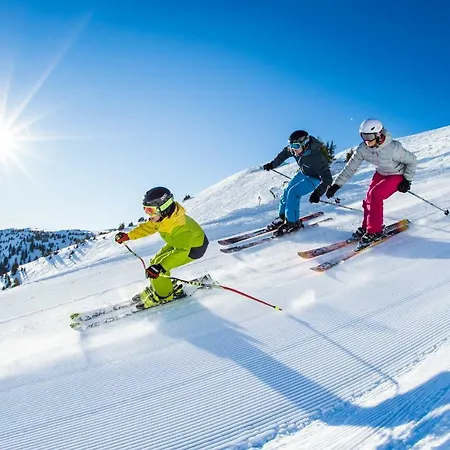 Appartement Ski & Bike Saalbach-Hinterglemm